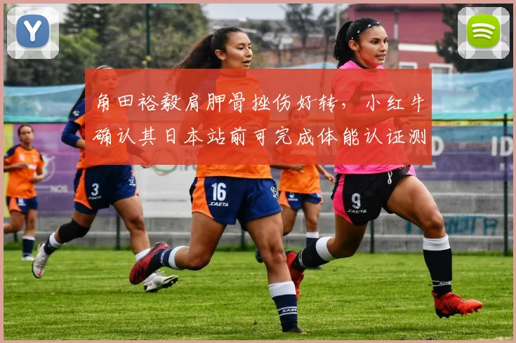 角田裕毅肩胛骨挫伤好转，小红牛确认其日本站前可完成体能认证测试